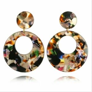 🐶Acrylic Earrings multicolored